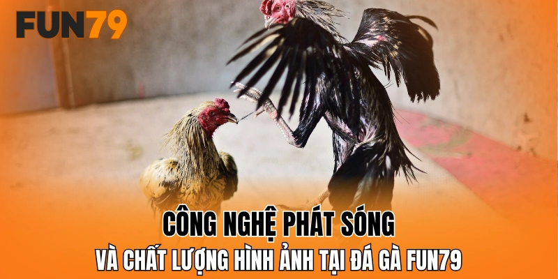 Công nghệ phát sóng và chất lượng hình ảnh tại đá gà FUN79