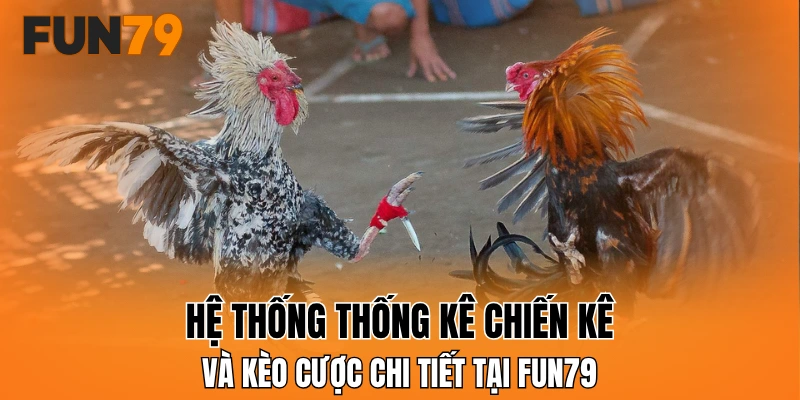 Hệ thống thống kê chiến kê và kèo cược chi tiết tại FUN79