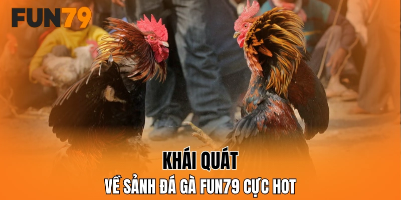Khái quát về sảnh đá gà FUN79 cực hot